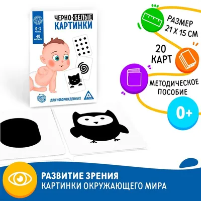 Развивающие карточки VeraKit Черно-белые для новорожденных 0+ Джунгли  купить по цене 465 ₽ в интернет-магазине Детский мир