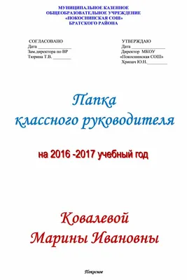 Папка классного руководителя 2 класса