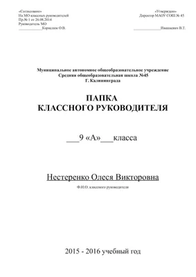 Calaméo - 9 папка класного руководителя (гот испр)