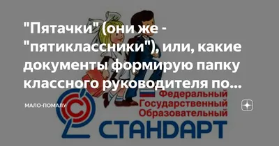 Пятачки\" (они же - \"пятиклассники\"), или, какие документы формирую папку  классного руководителя по ФГОС. | Капленко Надежда | Дзен