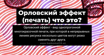 Принтер для печати на плоском картоне и бумаге Vitrex 650 купить в Москве с  доставкой по России