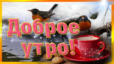 Доброе утро друзья дорогие ! Доброе утро подружки ! Здравствуйте все , я  вам говорю ! | ВКонтакте