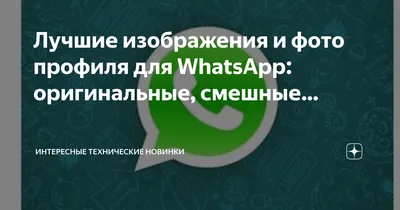 Ссылка на WhatsApp в шапке профиля или direct🖊 Тел:89182158885📲 Цветём и  Пахнем ежедневно для вас с 7:00 до 23:00 🌿ЗАКАЗ/ДОСТАВКА… | Instagram
