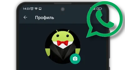 Как правильно настроить WhatsApp на Android