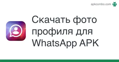 Pact - Как добавить аккаунт WhatsApp Business в профиль Instagram*