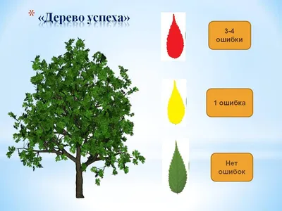 Рефлексия на уроках и во внеурочной деятельности в начальной школе:  примеры, особенности в условиях ФГОС - Издательство «Планета»