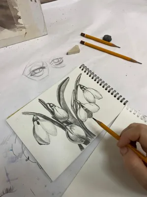 Рисунки для срисовки карандашом поэтапно | Рисовать, Рисунки, Рисунки сердца