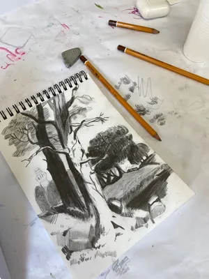 Школа рисования карандашом