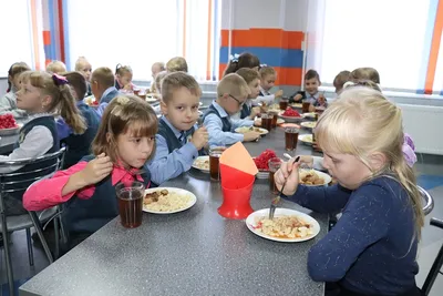 Столовую в школе Киева превратили в современное кафе – фото – новости Киева  | Сегодня