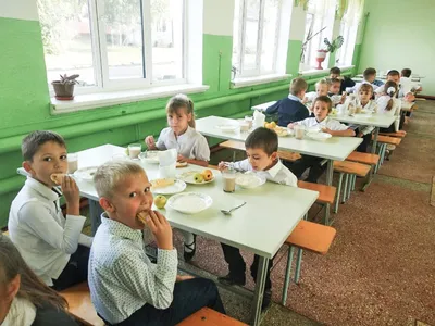 Ресторан и коворкинг-пространство в школе: волгоградские власти оценили  первый эксперимент по модернизации столовой - KP.RU