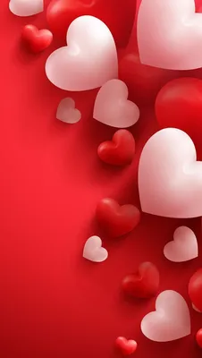 Топ-11 приключений в «День святого Валентина» - Vera.kz | Новости, События,  Происшествия, Истории
