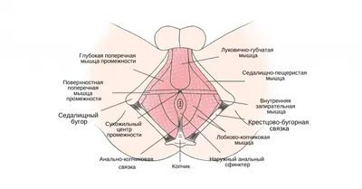 Эротический массаж для мужчины by list810 - Issuu