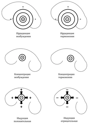Двойной контроль сексуального возбуждения | Психология отношений.  Сексология. | Дзен