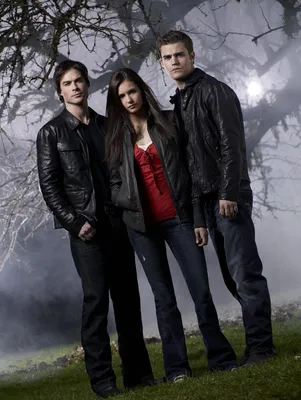 ᐉ Картина GeekLand The Vampire Diaries Дневники Вампира постер