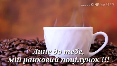 доброгоранку#коханий | TikTok