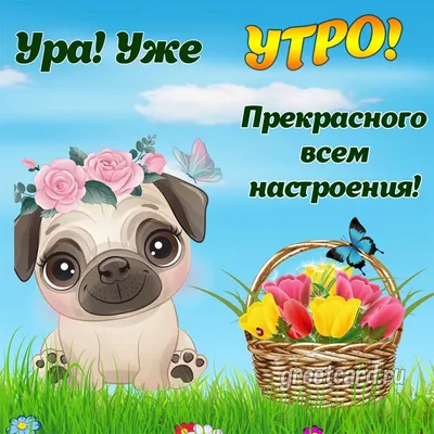 Доброе утро! Сегодня 16 апреля (воскресенье), в Российской Федерации  отмечается Пасха! Поздравляем.. | ВКонтакте