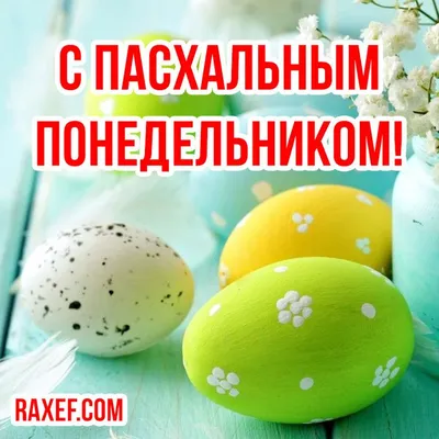 Доброе утро, дорогие! Поздравляем всех православных со светлым и  благодатным праздником Пасхи! Пусть в вашей семье царит взаимопонимание… |  Instagram