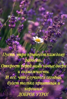 328 вподобань, 8 коментарів – Православие Ростов-на-Дону  (@pravoslavie_rostov) в Instagram: «Доброе … | Доброе утро, Благословение,  Картинки для поднятия настроения