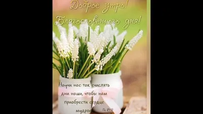 Доброе утро! Благословенного дня! ❤ | Юлия Зельвинская | Стихи для души |  ВКонтакте