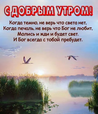 Доброе утро, Друзья! Благословенного майского вторника и просто хорошего дня!  ~ Открытка (плейкаст)