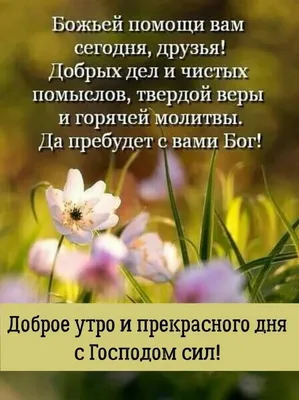Доброго благословенного дня (В статье много фото) - treepics.ru
