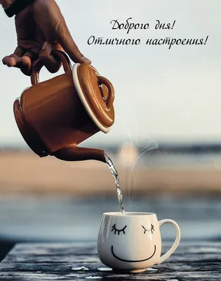 Доброго утра!🥰🥰🥰 Хорошего дня и отличного настроения!🌞☕🍩 #доброеу... |  TikTok