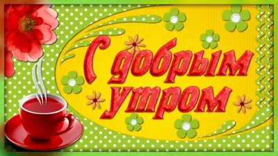 Доброе утро | Пикабу