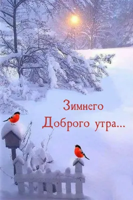 Доброе утро! 🤗 Остались считанные дни до начала зимы, хотя у кого-то она  уже началась. 😁 Сегодня в нашей ленте воспоминания двух летней… | Instagram