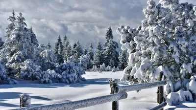 С первым днем зимы - красивые картинки (56 ФОТО)