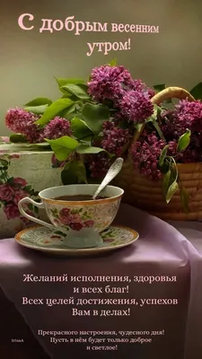 с добрым утром любимая оля｜TikTok Search