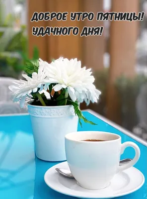 Живые Открытки - С добрым утром пятницы, друзья! #пятница #сдобрымутром # доброеутро #утро | Facebook