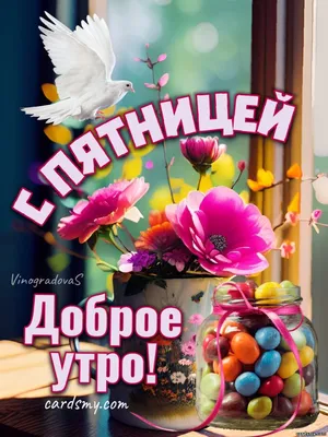 Добрейшего утра! Великолепной пятницы 😜😊🤗🌞🌞🌞🌈 #доброеутро  #настроение #позитив #пятница #сюморомпожизни #юмор #улыбнись #осень |  Instagram