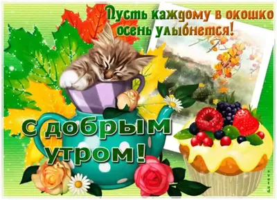 Доброе утро | Открытки, Доброе утро, Праздничные открытки