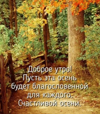 С Добрым Утром Пятницы! 6 ОКТЯБРЯ. #доброеутречко #сдобрымутром #добро... |  TikTok