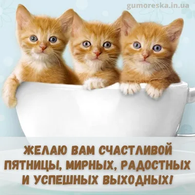 Картинки \"С Добрым Утром Пятницы!\" (100+)