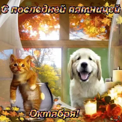 Доброе утро пятница