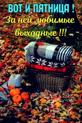 доброе осеннее утро пятницы｜TikTok Search