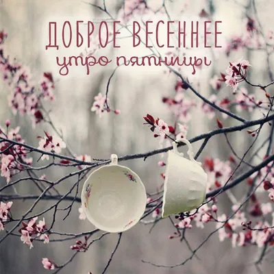Картинки Доброе утро пятницы - скачать (186 шт.)