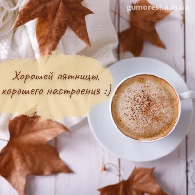 Türkçe Rusça dostluk paylaşım platformu - Доброе утро. 24 СЕНТЯБРЯ - ПЯТНИЦА,  УРА!!! 🍂🍂🍂🍂🍂🍂🍂🍂🍂 Пусть утро будет безмятежным, Очаровательным и  нежным И обещает сказочный денек, Который радость жизни принесет! | Facebook
