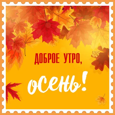 Доброе утро осень пятница (Большое количество фото внутри) - treepics.ru