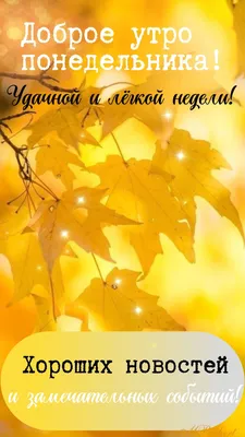 Осень 🍂 Понедельник | Цитаты про утро понедельника, Осень, Утренние цитаты