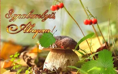 Картинка на последний день лета 31 августа (скачать бесплатно)