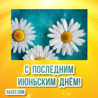 Вот и конец лета (Много фото) - treepics.ru