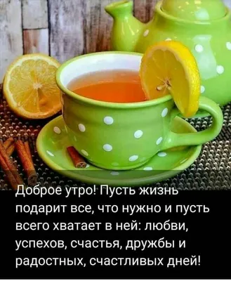 Pin by Tatiana Lyakh on ОТКРЫТКИ | Funny good morning quotes, Happy monday  morning, Good morning