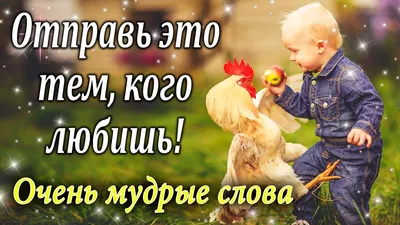 Доброе утро!☕Всем Замечательного дня и отличного настроения 😘 Счастливой  среды ❤🌹 | Instagram