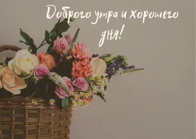 Доброе утро!  #жизньпрекрасно#мысливслух#мораль#психология#мудрыеслова#словасосмыслом#цитаты#  | Instagram