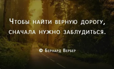 Доброе утро - Высказывания