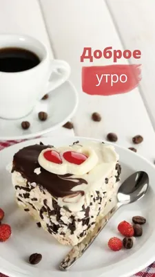 доброе утро с тортом｜Búsqueda de TikTok