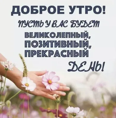 Хорошие цитаты - Доброе утро! 👣💋 | Facebook