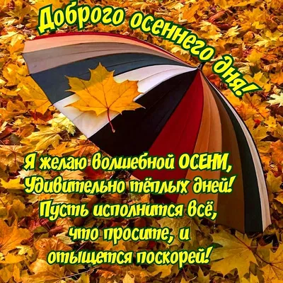 утродоброе #доброеутро #хорошегодня #пожеланиесдобрымутром #осень #по... |  TikTok